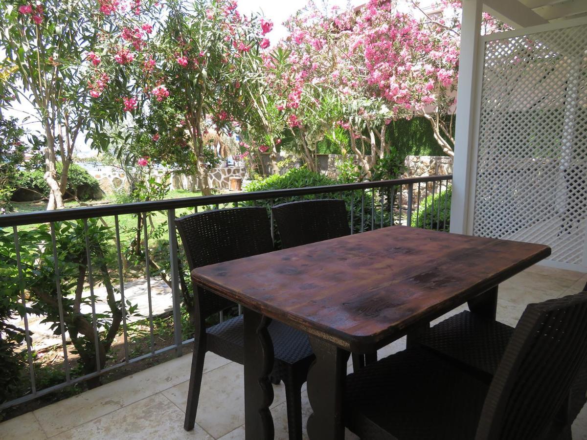 Arriba Pension & Restaurant Gümüşlük Extérieur photo