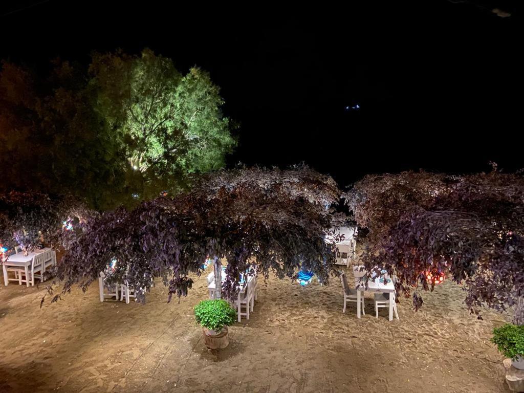 Arriba Pension & Restaurant Gümüşlük Extérieur photo