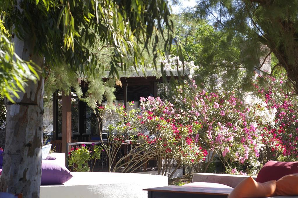 Arriba Pension & Restaurant Gümüşlük Extérieur photo