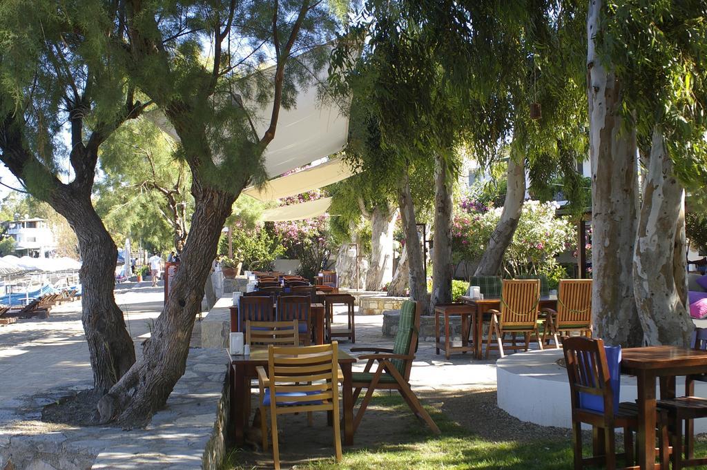 Arriba Pension & Restaurant Gümüşlük Extérieur photo