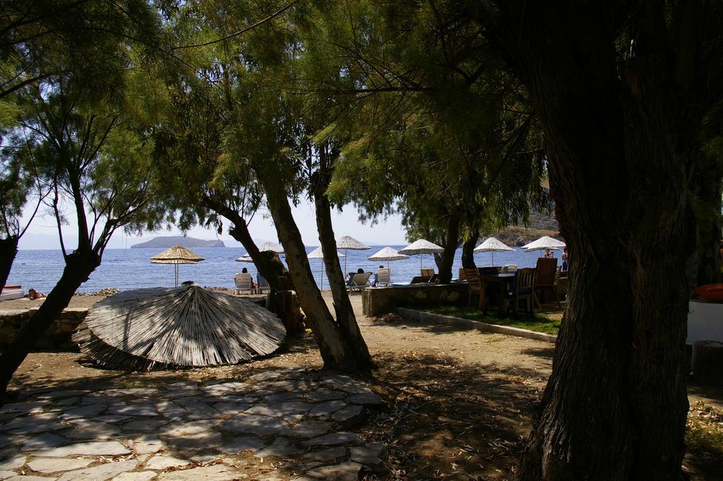 Arriba Pension & Restaurant Gümüşlük Extérieur photo